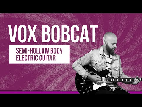 Vox Bobcat S66 2010s - Black image 7