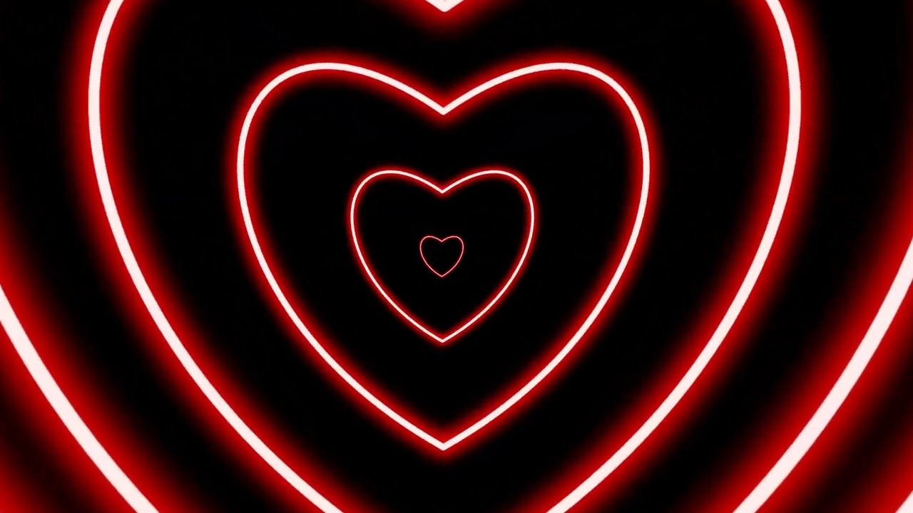 beautiful red heart animation on black background. royalty free stock footage.