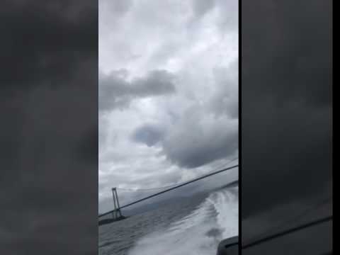 ips 1745EB6D BD4C 4A02 BE45 0B6AEA4BF601