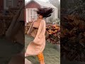 Vijay TV Pranika Hot Reels Pranikadhakshu Shortstamil Reelsinstagram Todaytrending Tiktok