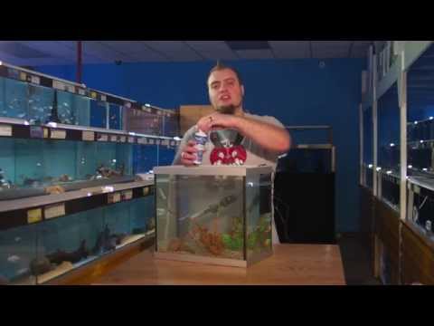 Fishkeeping Tips - How To Set Up An Aquarium