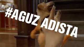 Download lagu KADUNG JERU STORY WA BOLODEWE mp3