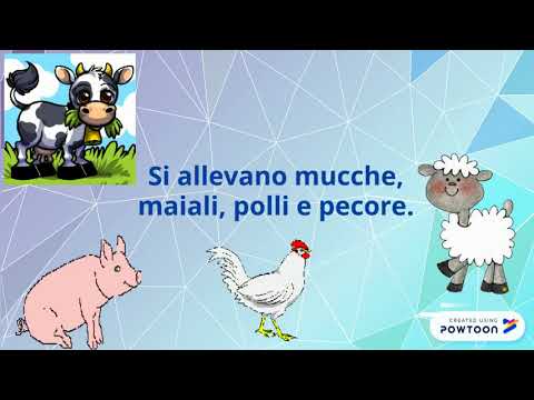 LA PIANURA, geografia, scuola primaria