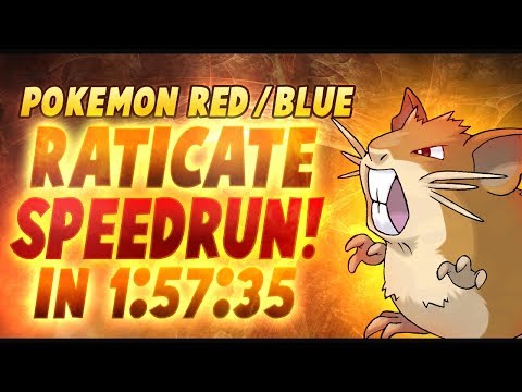 Pokemon Red/Blue Raticate% Speedrun (Current World Record with Articuno capture bonus!)