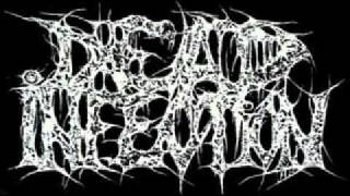 Dead Infection-Mysterious Wine