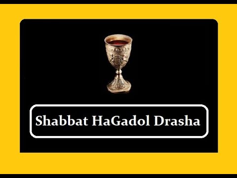 Shabbos Hagadol Drasha