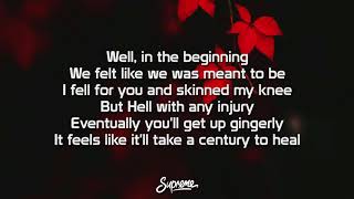 Pink - Revenge Ft Eminem (Lyrics)