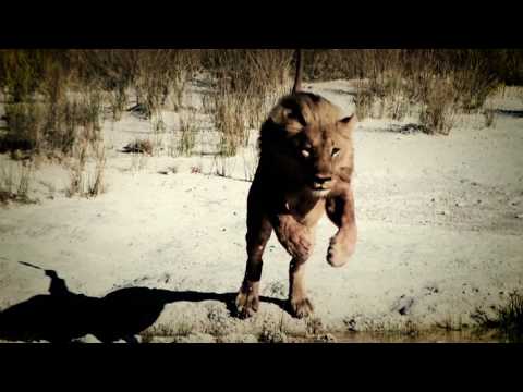 The Clash - Let Battle Commence