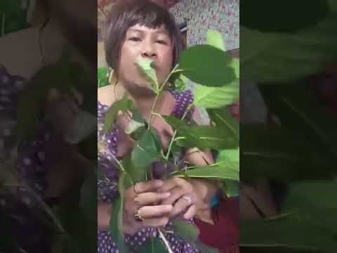 Albularyo | 2022! | Erika Embang