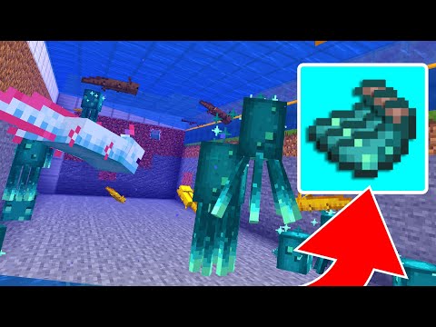 OMGcraft - Minecraft Tips & Tutorials! - Axolotl and Glow Squid Farm in Minecraft 1.17