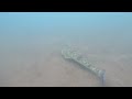 How to catch flathead on a Daiwa Double Clutch in 37 seconds!