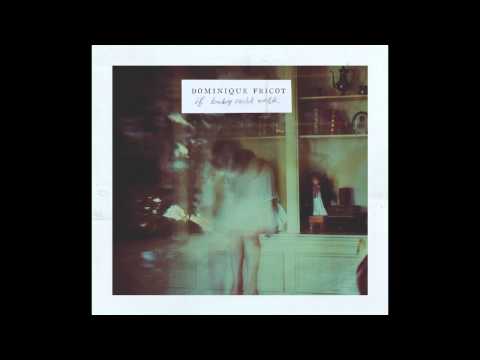 Dominique Fricot - Strange Lady (Acoustic)