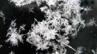 Artificial Skys - Winter Wish