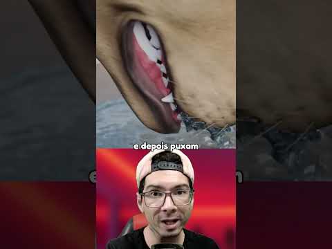 É ASSIM QUE O CACHORRO COME A AGUA MOLE