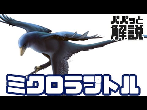 ミクロラプトルについて詳しく解説