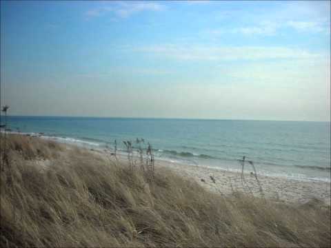 Barrytone - Land of the Lost Content (Original Mix)