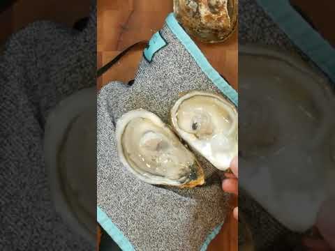 How to Shuck Oysters for Grilling