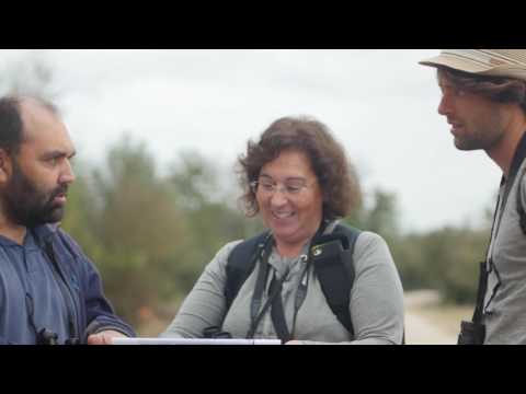 Rutas de observación de aves