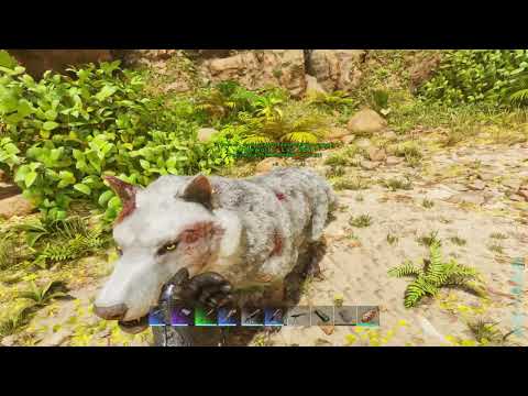 Can I Breed the STRONGEST Dire Wolves in ARK?