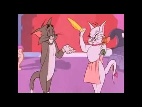 Tom Love || Tom and Jerry Cartoon