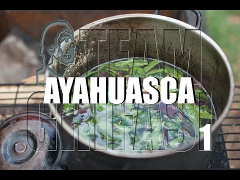 552 -FR, Sylvie 142ºCycle d'investigation 1°Prot.: Ayahuasca - Elettra Scintu Hypnose Team Grifasi