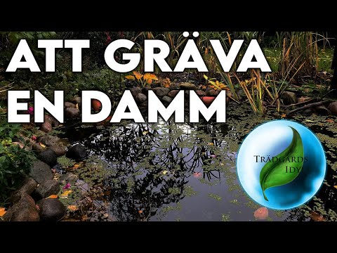 En damm för djurlivet i trädgården