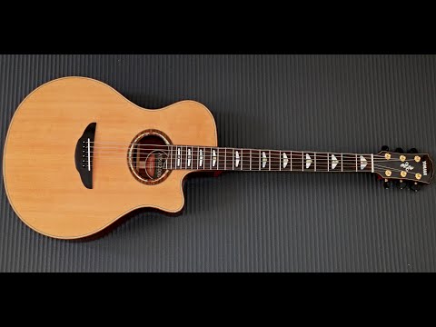 Yamaha APX1200II: Price, Specs and Best Deals | FindMyGuitar