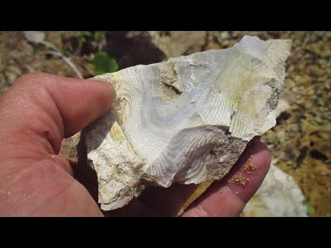 KRZEMIEŃ PASIASTY Z TRIASU OPOLSKIEGO (Lipiec 2023)