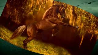 Princess - David Byrne