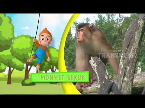 SI OTAN | KAMI TINGGAL DI BORNEO (30/05/18) 2-3