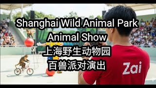上海野生动物园 - 百兽派对演出