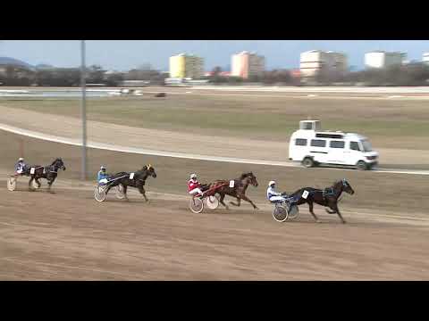 2020.02.29. 03. futam - CÉDRUS DÍJ