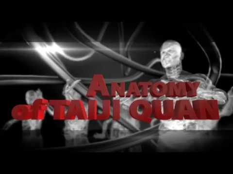 Anatomia Taiji Quan