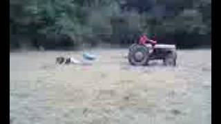 Tractor Sledding!!!