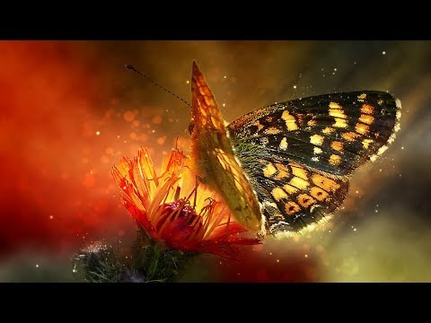 Musica per sollevare l' anima ed eliminare i pensieri negativi