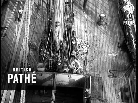 Der letzte Windjammer (1957)