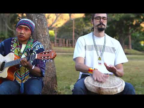 Txana Bai & Txana Metsapa / Música Tradicional Huni Kuin / Medicine Music Healing & Therapy