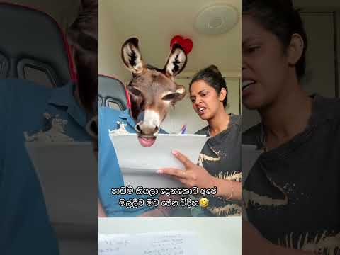 අනේ 😆 #fyp #shorts #viral #trending #funny #fun #yt #shortvideo