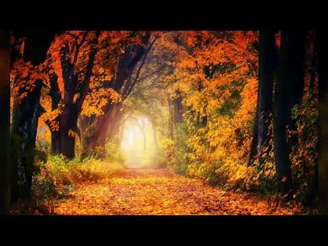 Putevi Života kojima rijetki idu - 10. (4.9.2019.)