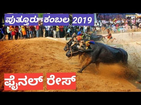 download lagu mp3 mp4 Kambala Com, download lagu Kambala Com gratis, unduh video klip Kambala Com