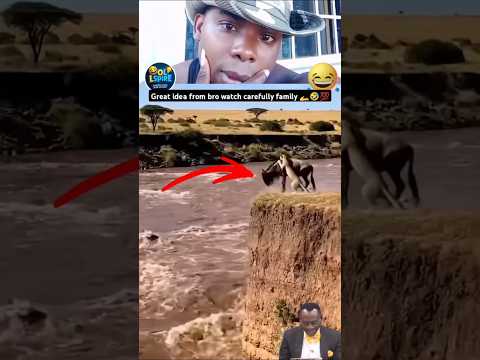 Great idea bro but funny 🤣 #short #funny