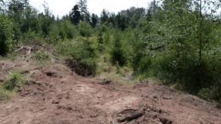 preview picture of video '20 Acres of Reforested Land'