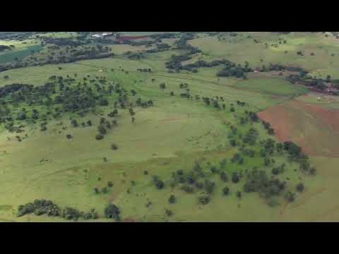 FAZENDA A VENDA Itumbiara Goiás 143 alqs. (Dupla aptidão). Montada Toda formada em pastagens.