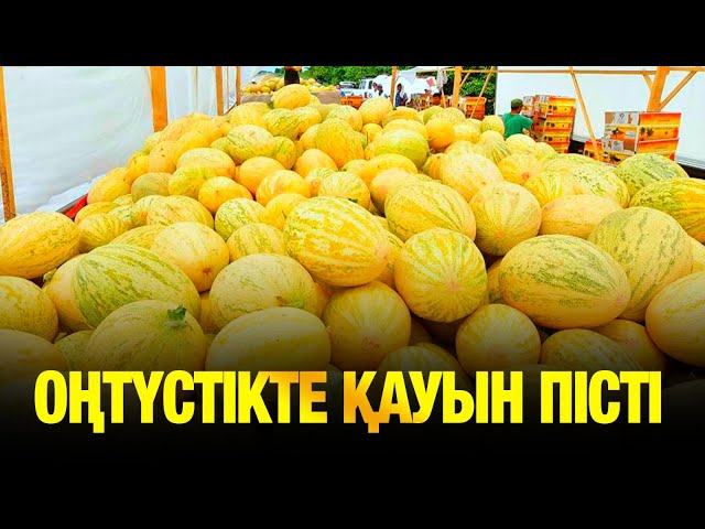 Жаз басталмай жатып қауын пісті