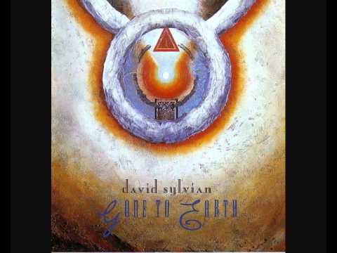 "Taking The Veil" (David Sylvian)