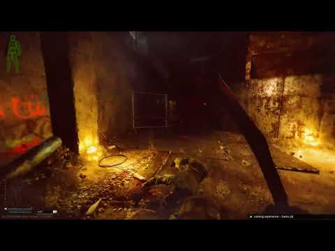 Kedr is the meta build for 12.12