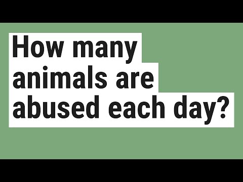 How many animals are abused each day?