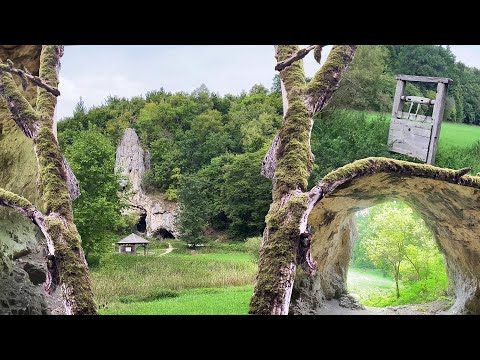 Waldträume der Vergangenheit