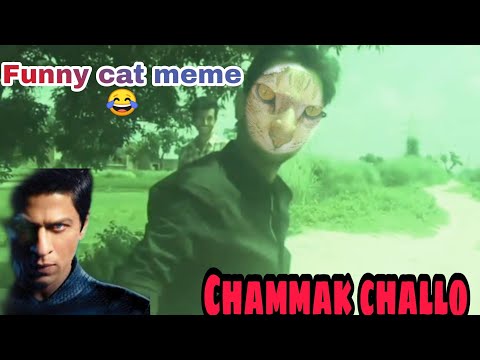 Funny cat meme compilation with RA.ONE song