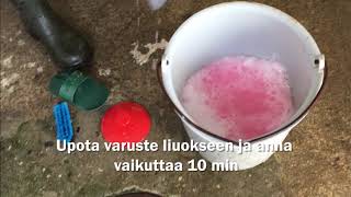 Virkon S aineella desifiointi